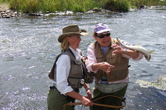 Brookies dazzle, delight in Colorado