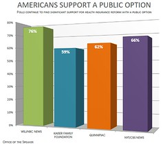 'Public option' and its role in health-care debate