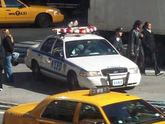 Cops 'stop-and-frisk' more than 500,000 New Yorkers on the street each year