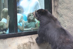 San Diego Zoo's Celebration for the Critters