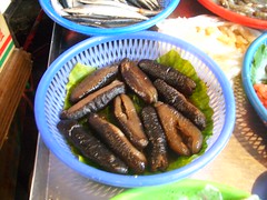 Sea Cucumber, Anyone?